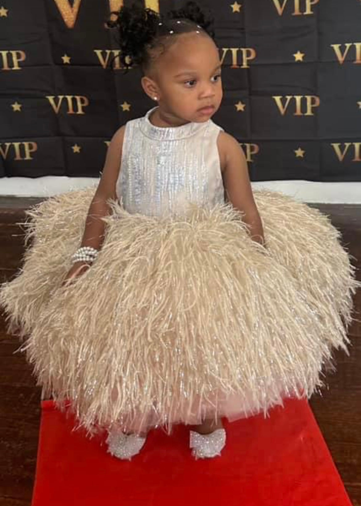 Girls Tutu Layered Feathered Dress