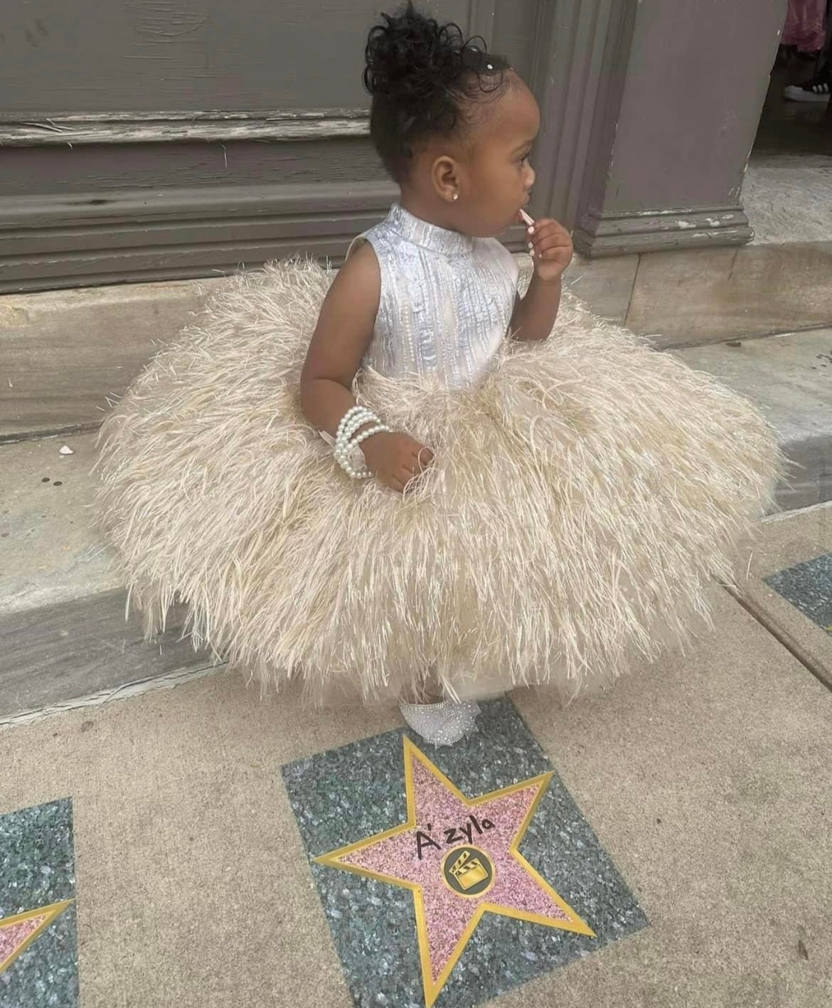 Girls Tutu Layered Feathered Dress